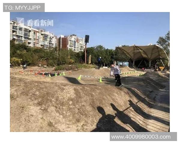 上海极限运动队的管理模式与发展趋势深度解析